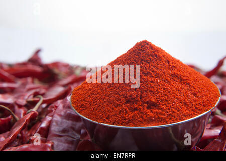 Close up di peperoncino in polvere in un recipiente e peperoncini rossi Foto Stock