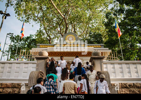 Sri Maha Bodhi, un importante religiosa buddista, sito in Anuradhapura, Sri Lanka. Foto Stock