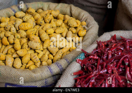 Sacchi di peperoncini essiccati e la curcuma radice per la vendita al mercato Foto Stock
