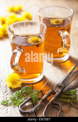 Il tè alle erbe con fiori coltsfoot Foto Stock