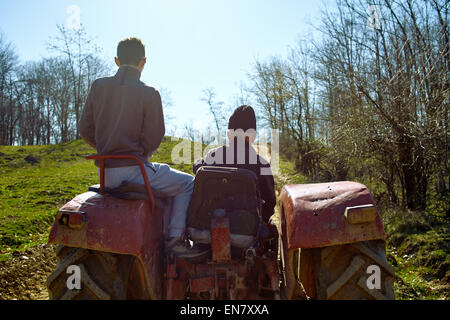 Vista posteriore di un anziano contadino e suo nipote alla guida di un trattore su una collina al tramonto Foto Stock
