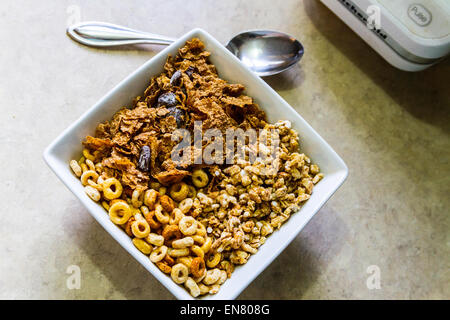 Cheerio, Kashi Go Lean Crunch e store brand uvetta cereali in un recipiente quadrato per la prima colazione. Foto Stock