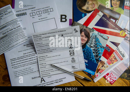 Decisioni, decisioni. Un voto postale richiede il riempimento in, ma non la pila di letteratura di partito ha ricevuto il throught egli porta realmente aiutare. Foto Stock