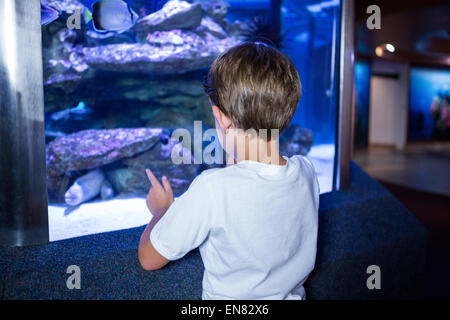 Giovane uomo guardando il pesce in un serbatoio Foto Stock