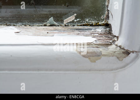 Close up di danni al singolo in legno finestra vetrata causato dalla presenza di condensa e pioggia Foto Stock