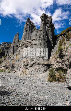 Il putangirua riserva paesaggistica, o pinnacoli, una zona di ghiaia erosa lasciando alte pile di ghiaia, Nuova Zelanda. Foto Stock