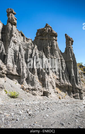 Il putangirua riserva paesaggistica, o pinnacoli, una zona di ghiaia erosa lasciando alte pile di ghiaia, Nuova Zelanda. Foto Stock