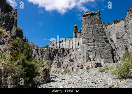 Il putangirua riserva paesaggistica, o pinnacoli, una zona di ghiaia erosa lasciando alte pile di ghiaia, Nuova Zelanda. Foto Stock