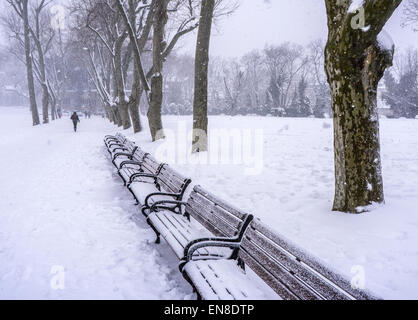 Un inverno tempesta di neve nel Parco Gulhane, Sultanahmet, Istanbul, Turchia. Foto Stock
