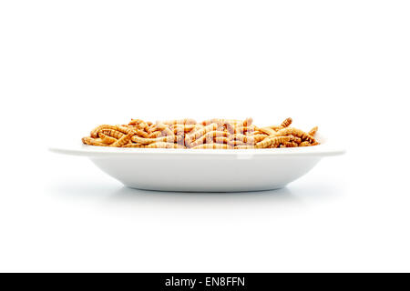 Mealworms sulla piastrina. Il cibo del futuro. Mealworms sono sani e gustosi. Essi contengono proteine e a basso contenuto di grassi. Oggi dovu Foto Stock