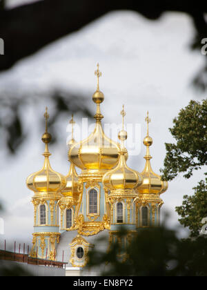 Cupola dorata del Palazzo di Caterina si trova a Carskoe Selo (Pushkin),Saint Petersburg, Russia Foto Stock