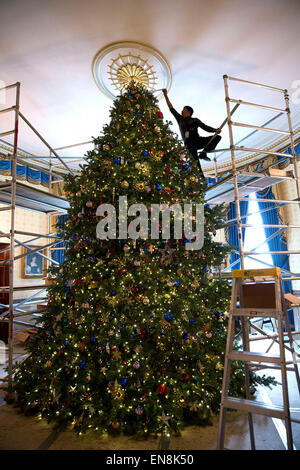 Un volontario si appoggia al di fuori del lato superiore del ponteggio per decorare la gazzetta Casa Bianca albero di natale in camera blu della Casa Bianca, 1 dicembre, 2014. Foto Stock