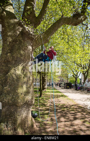 Bristol, Regno Unito. Il 29 aprile, 2015. I manifestanti sono saliti gli alberi per mettere un banner a Bristol il Queens Square per sollevare la consapevolezza della distruzione di terreni edificabili in Stapleton per il nuovo progetto Metrobus. In seguito hanno marciato per il consiglio cittadino uffici. Nella prima parte dell'anno i manifestanti hanno occupato gli alberi su Metrobus sito per diverse settimane prima di essere sfrattati. Il 29 aprile 2015. Credito: Fotografia Redorbital/Alamy Live News Foto Stock