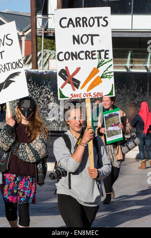 Bristol, Regno Unito. Il 29 aprile, 2015. I manifestanti sono saliti gli alberi per mettere un banner a Bristol il Queens Square per sollevare la consapevolezza della distruzione di terreni edificabili in Stapleton per il nuovo progetto Metrobus. In seguito hanno marciato per il consiglio cittadino uffici. Nella prima parte dell'anno i manifestanti hanno occupato gli alberi su Metrobus sito per diverse settimane prima di essere sfrattati. Il 29 aprile 2015. Credito: Fotografia Redorbital/Alamy Live News Foto Stock