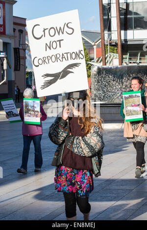 Bristol, Regno Unito. Il 29 aprile, 2015. I manifestanti sono saliti gli alberi per mettere un banner a Bristol il Queens Square per sollevare la consapevolezza della distruzione di terreni edificabili in Stapleton per il nuovo progetto Metrobus. In seguito hanno marciato per il consiglio cittadino uffici. Nella prima parte dell'anno i manifestanti hanno occupato gli alberi su Metrobus sito per diverse settimane prima di essere sfrattati. Il 29 aprile 2015. Credito: Fotografia Redorbital/Alamy Live News Foto Stock