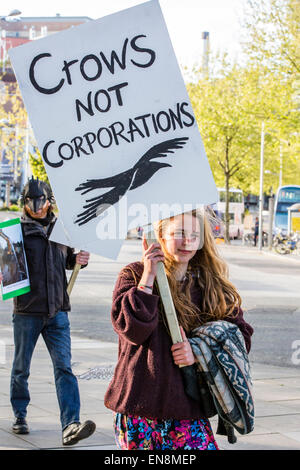 Bristol, Regno Unito. Il 29 aprile, 2015. I manifestanti sono saliti gli alberi per mettere un banner a Bristol il Queens Square per sollevare la consapevolezza della distruzione di terreni edificabili in Stapleton per il nuovo progetto Metrobus. In seguito hanno marciato per il consiglio cittadino uffici. Nella prima parte dell'anno i manifestanti hanno occupato gli alberi su Metrobus sito per diverse settimane prima di essere sfrattati. Il 29 aprile 2015. Credito: Fotografia Redorbital/Alamy Live News Foto Stock