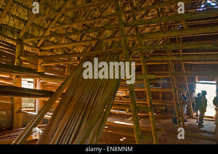 Vista orizzontale all'interno di un fienile di essiccamento a una fattoria di tabacco in Vinales. Foto Stock