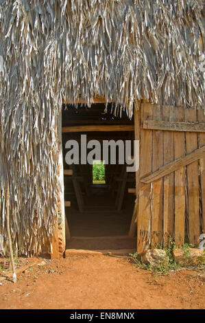 Vista verticale al di fuori di un fienile di essiccamento a una fattoria di tabacco in Vinales. Foto Stock