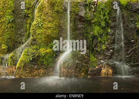 Scala piccola cascata con muschi senso di scala ingannevole rendendo il look molto grandi Foto Stock