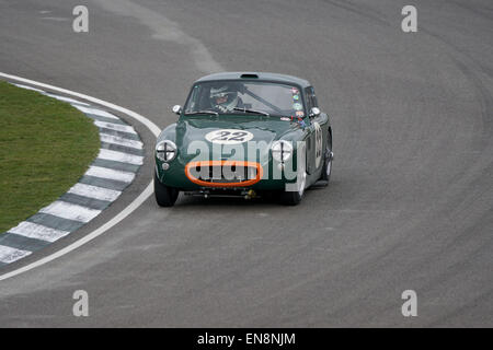Ian Burford 1959 Sebring Sprite duro in curva a Woodcote durante il Les Leston Cup gara al Goodwood 73rd Assemblea dei Soci Foto Stock