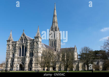 Inghilterra, Wiltshire, Salisbury, Cattedrale Foto Stock