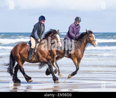 Passeggiate a cavallo sulla spiaggia Saltburn. Saltburn dal mare, North Yorkshire, Inghilterra. Regno Unito Foto Stock