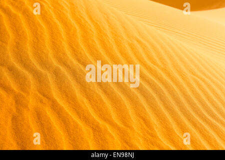 Dune di sabbia, Erg Chegaga. Deserto del Sahara. Il Marocco. L'Africa.