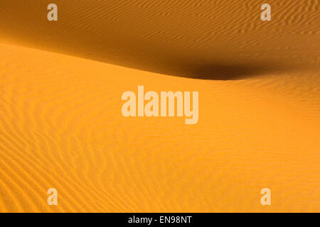 Dune di sabbia, Erg Chegaga. Deserto del Sahara. Il Marocco. L'Africa.
