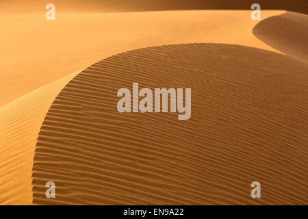 Dune di sabbia, Erg Chegaga. Deserto del Sahara. Il Marocco. L'Africa.