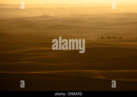 Dune di sabbia, Erg Chegaga. Deserto del Sahara. Il Marocco. L'Africa. Foto Stock