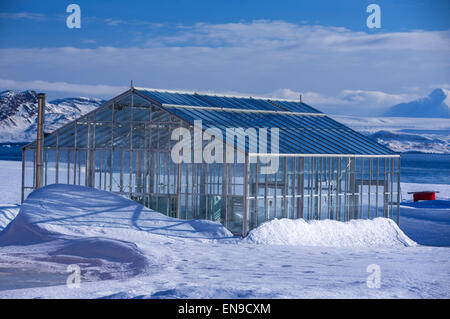 Spitsbergen, Norvegia. 09Apr, 2015. Una serra snowbound biologico di progetti di ricerca in Kings Bay stazione di ricerca in Ny-Alesund su Spitsbergen, Norvegia, 09 aprile 2015. Foto: Jens Büttner/dpa/Alamy Live News Foto Stock