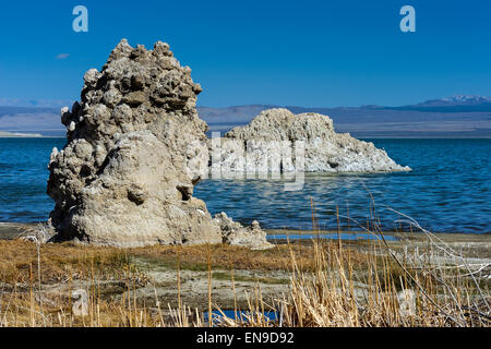 Il tufo, mono lago, CA, US Foto Stock