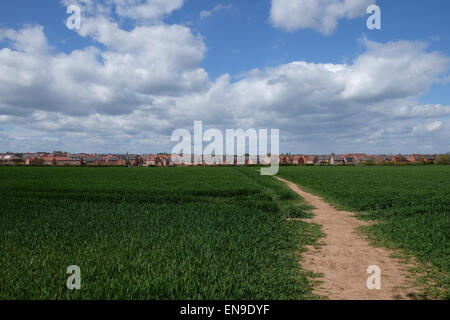 Nuove case sul bordo del terreno coltivato in loughborough Foto Stock