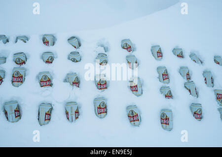 Lattine di birra. Mantenendo la birra nel freddo della neve, in inverno, Islanda Foto Stock