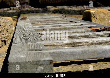 Una scaletta di legno sul lato di un molo guardando dritto verso il basso vista. Whitby North Yorkshire England Regno Unito Foto Stock