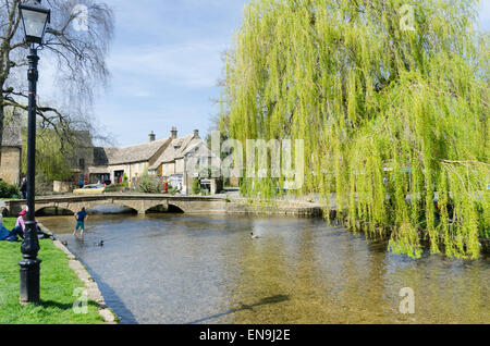 Un salice piangente albero sovrasta il Fiume Windrush in esecuzione attraverso il villaggio Costwold di Bourton sull'acqua Foto Stock