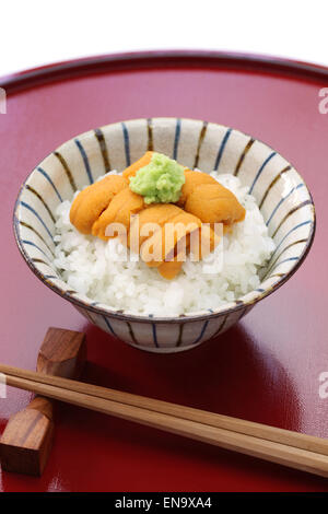 Verde giapponese dei ricci di mare roe, ezo bafun uni giapponese dei ricci di mare roe sul riso Foto Stock