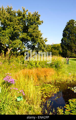 Giardino Hermannshof, Weinheim, Baden-Württemberg, Germania Foto Stock