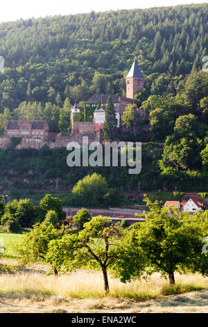 Il paesaggio e il castello di Zwingenberg am Neckar, Baden-Württemberg, Germania Foto Stock