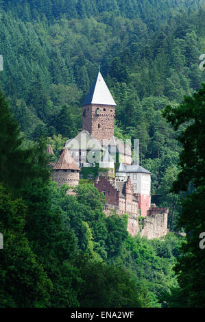 Schloss Zwingenberg am Neckar, Baden-Württemberg, Deutschland | Schloss Zwingenberg am Neckar, Baden-Württemberg, Germania Foto Stock