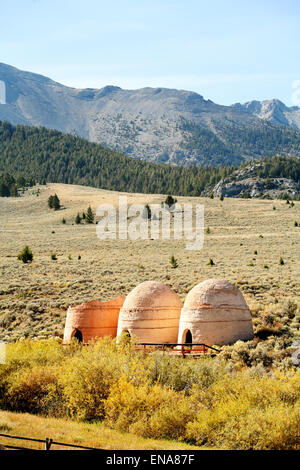 Resti della storica Birch Creek Carbonaie nell'Area Gilmore, Lemhi County Idaho, Stati Uniti d'America Foto Stock