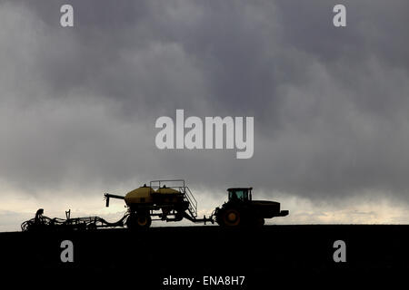 Un trattore tirando attrezzi agricoli, la semina del grano in fertili campi di fattoria di Idaho.. Foto Stock