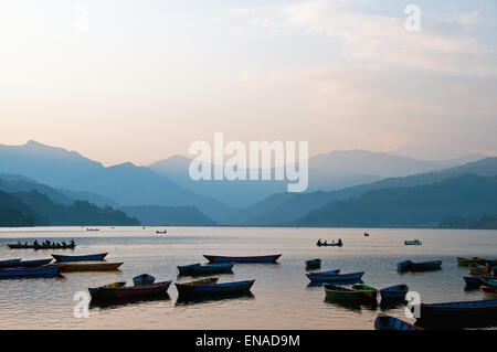 Lago Phewa era leggermente ingrandita mediante raschiatura. È in pericolo di insabbiamento a causa dell'afflusso durante il monsone Foto Stock