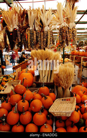 Una fase di stallo con grande varietà di zucche e mais colorati su un mercato degli agricoltori di Ottawa in Canada. Foto Stock