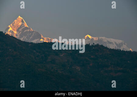 Macchapucchre dal lago Phewa, Pokhara, Nepal. Foto Stock