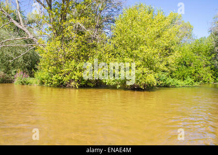 Alberche riverbank in Toledo, Castilla La Mancha, in Spagna Foto Stock