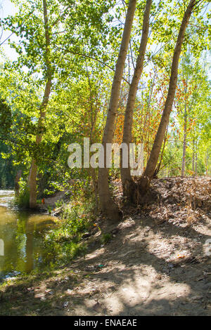 Alberche riverbank in Toledo, Castilla La Mancha, in Spagna Foto Stock