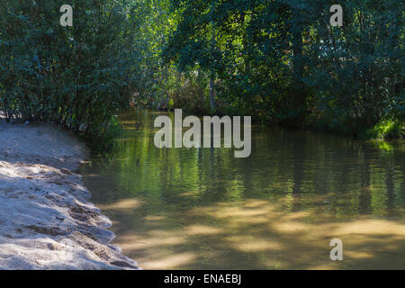 Alberche riverbank in Toledo, Castilla La Mancha, in Spagna Foto Stock