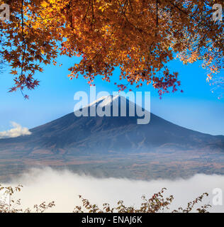 Mt. Fuji con i colori dell'Autunno in Giappone per adv o altri usi Foto Stock