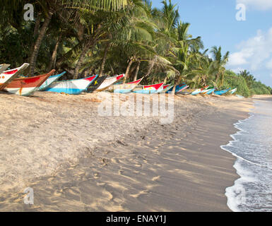 Dai colori vivaci canoe pesca sotto palme di cocco di spiaggia sabbiosa tropicale, Mirissa, Sri Lanka, Asia Foto Stock